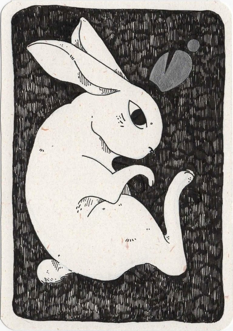 2-animaux