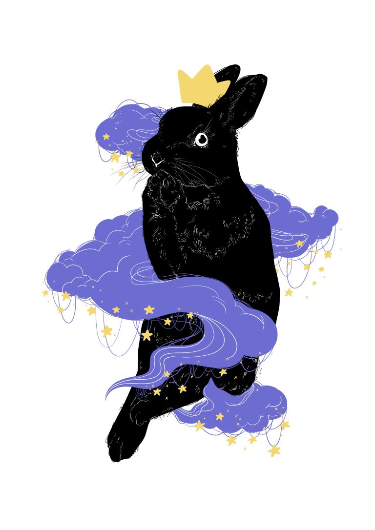 lapin