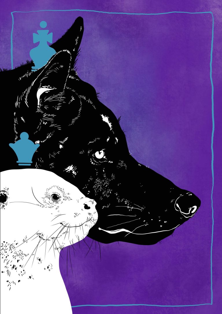 illustrations numériques