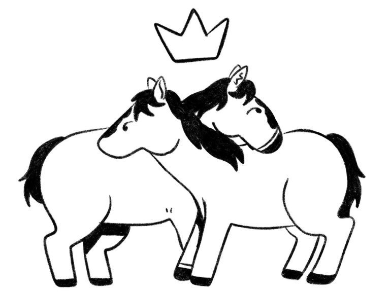 chevaux-3