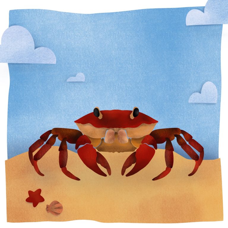 crabe